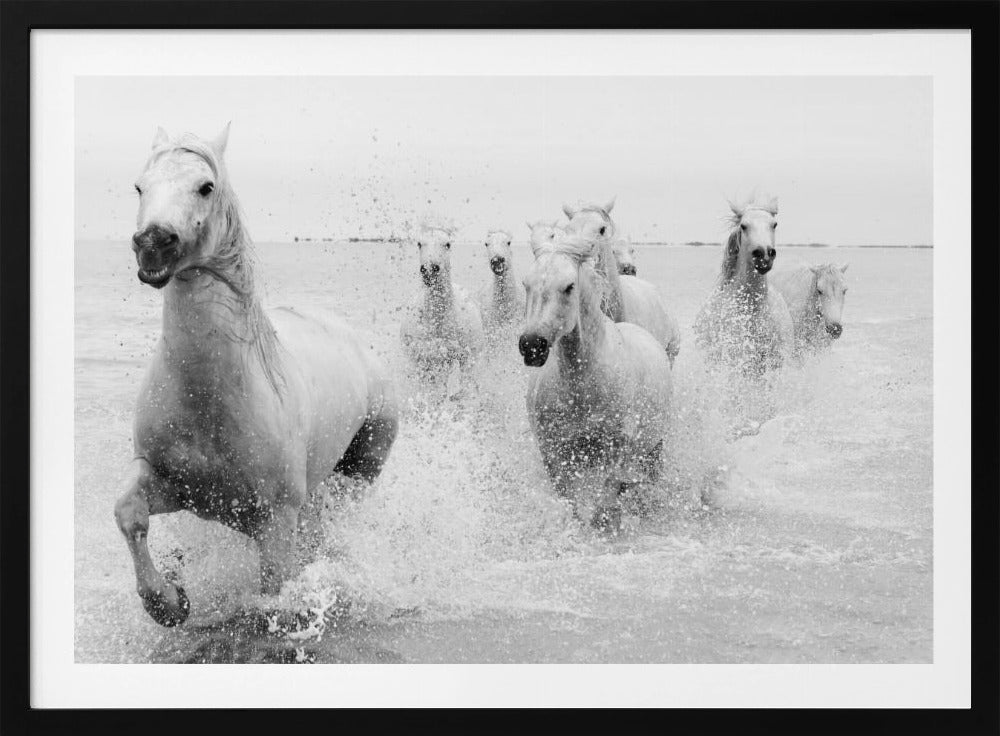 We are coming | Poster