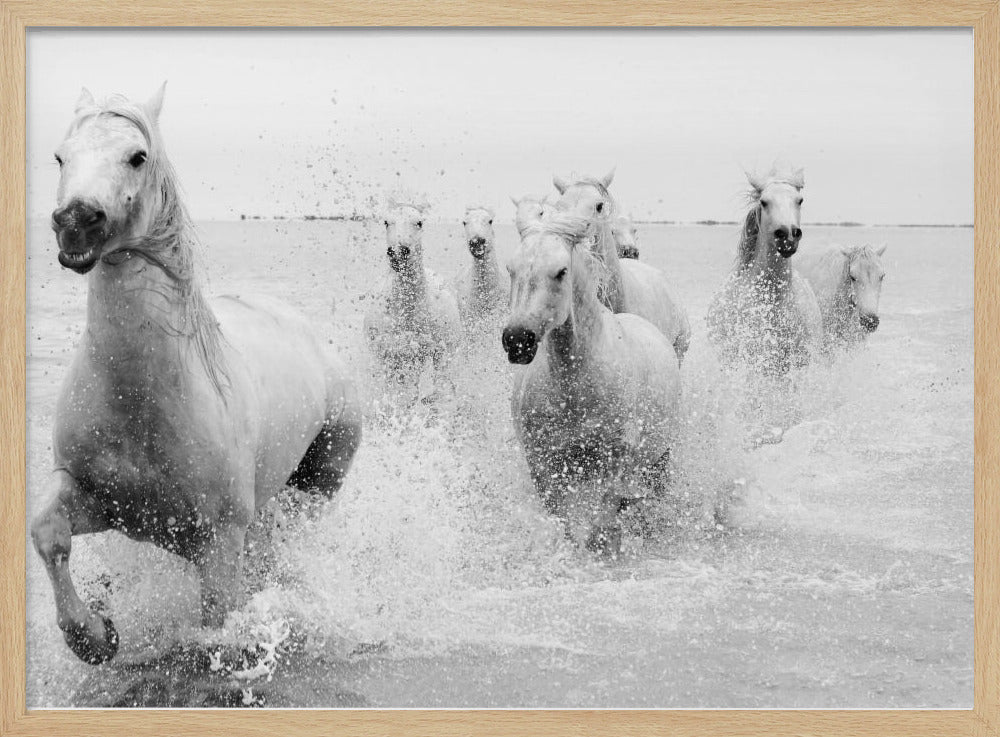 We are coming | Poster