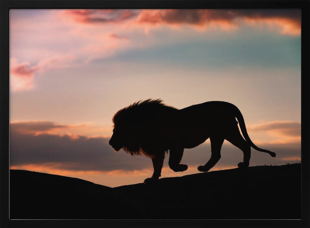 Sunset in the Serengeti | Poster