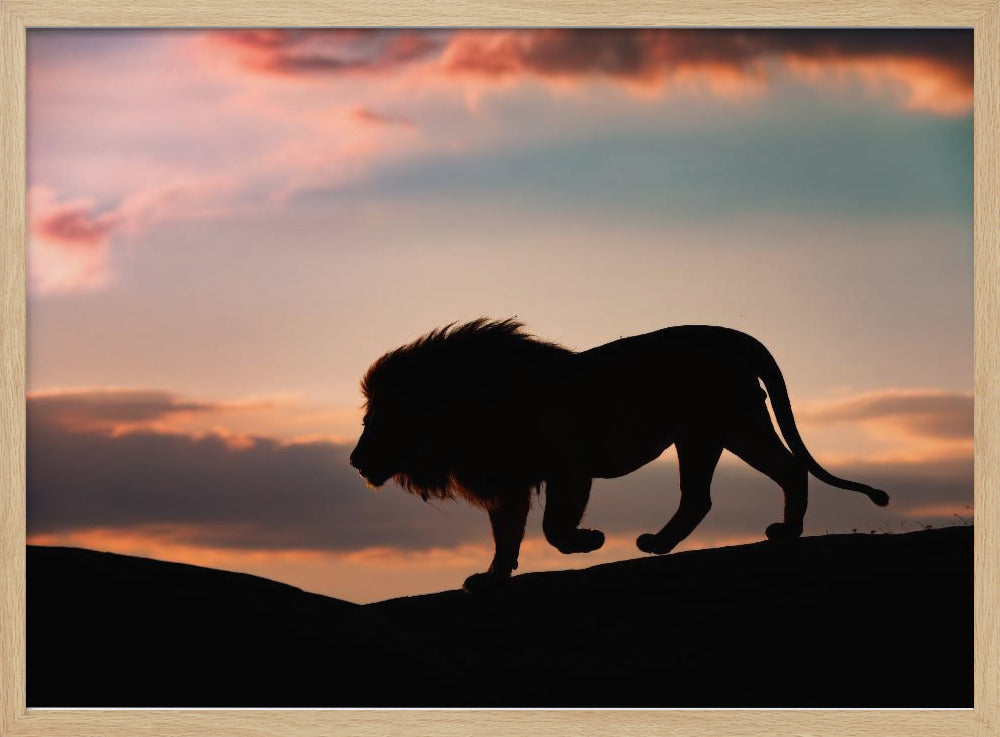 Sunset in the Serengeti | Poster