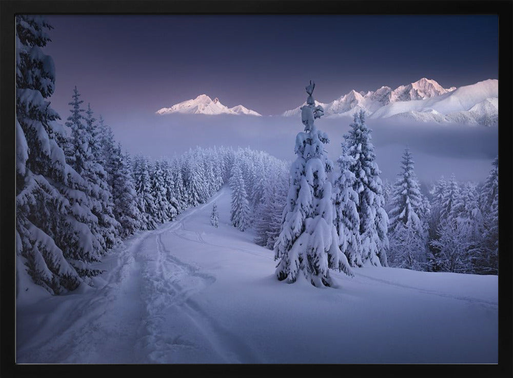 In the Winter | Poster