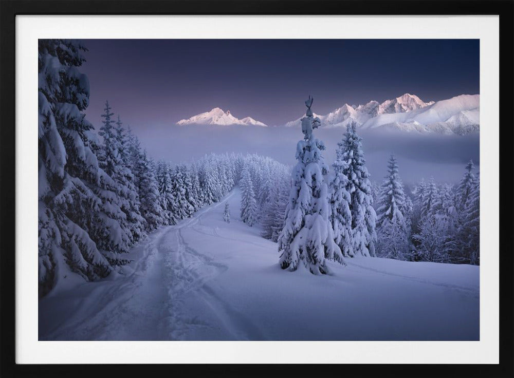 In the Winter | Poster