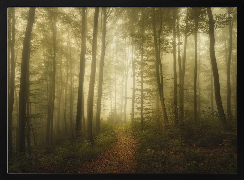 Charm of the ephemeral | Poster