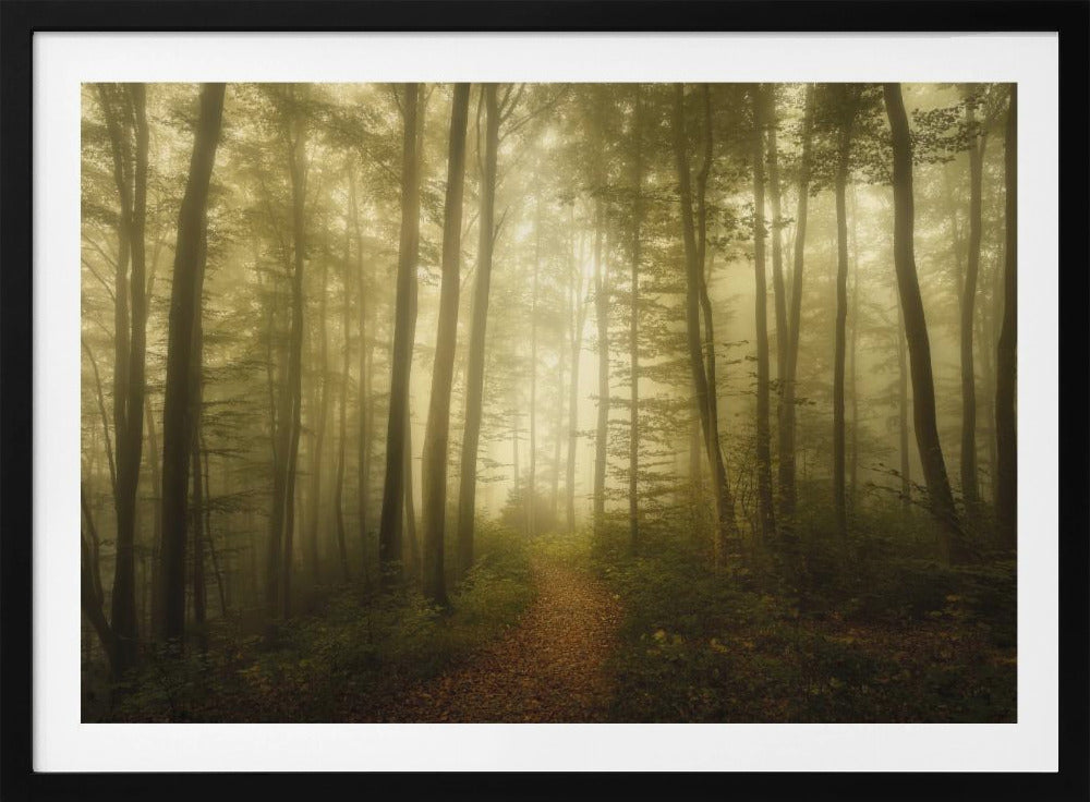 Charm of the ephemeral | Poster