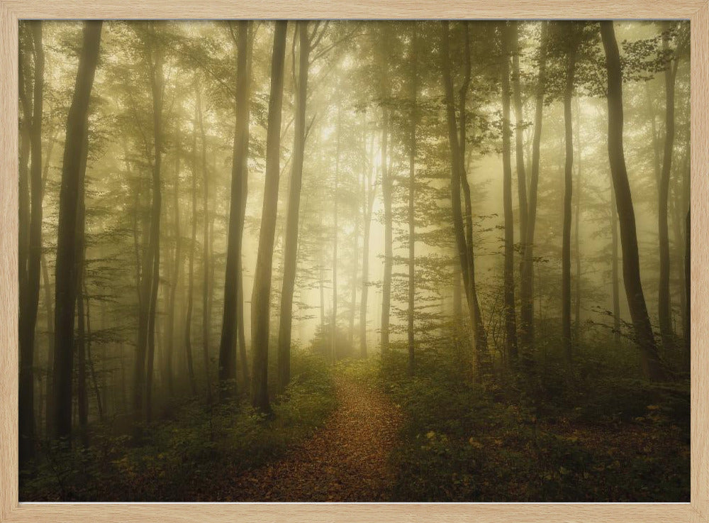 Charm of the ephemeral | Poster