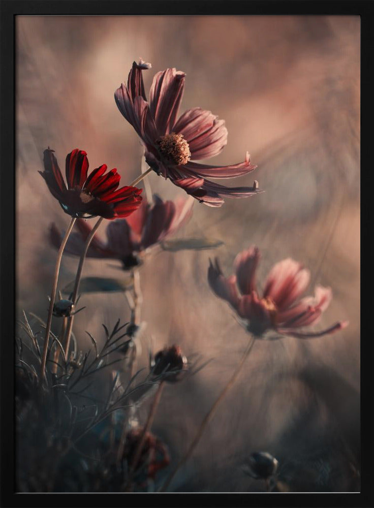 The Funky Family | Poster