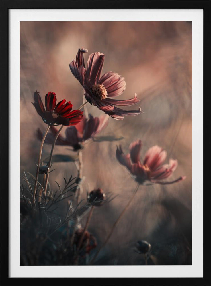 The Funky Family | Poster