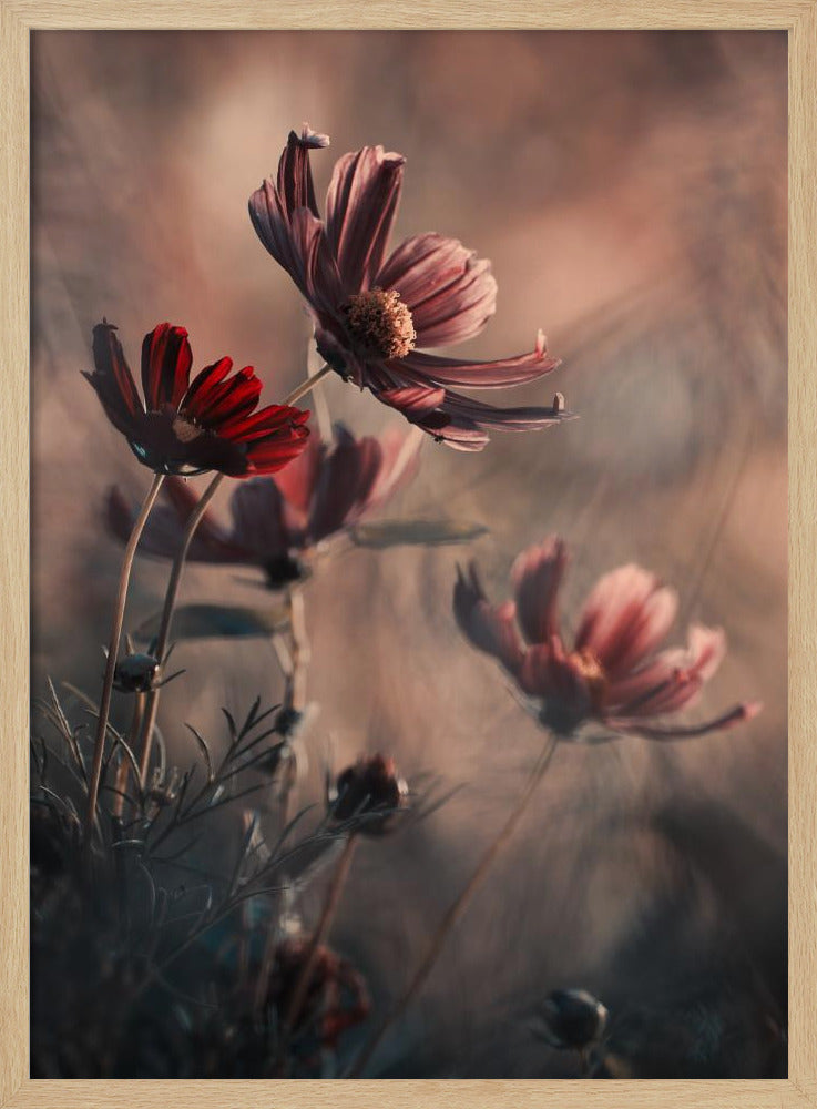 The Funky Family | Poster