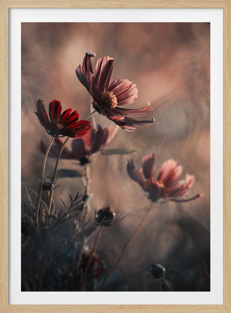 The Funky Family | Poster