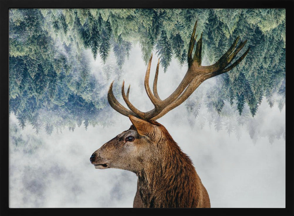 The Deer and the woods | Poster