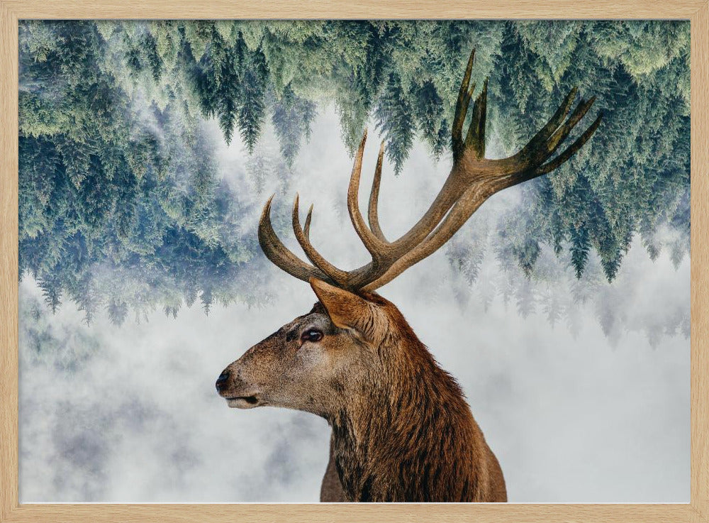 The Deer and the woods | Poster