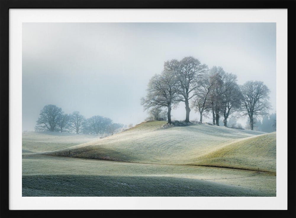 It is not in tuscany | Poster