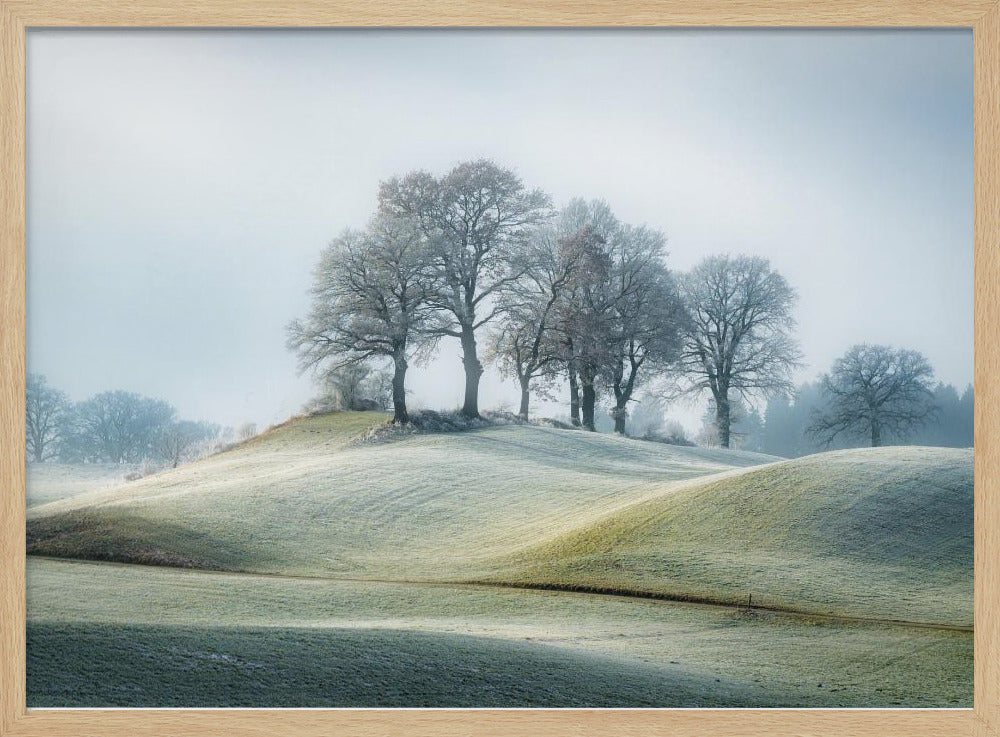 It is not in tuscany | Poster