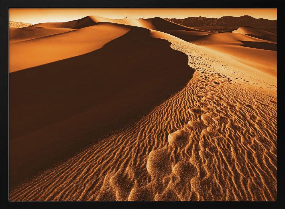 Death Valley | Poster