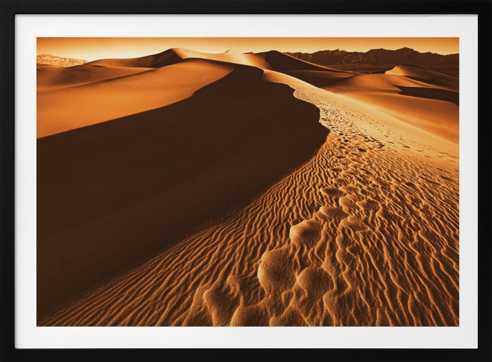 Death Valley | Poster