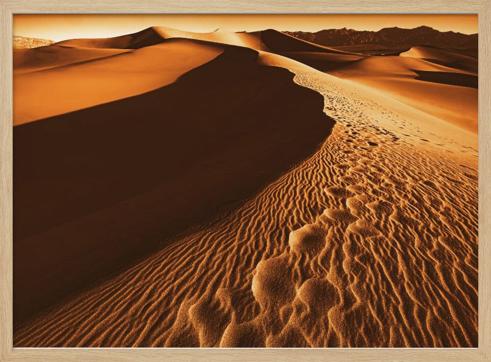 Death Valley | Poster