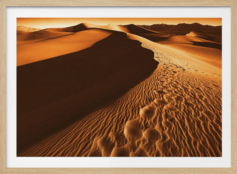 Death Valley | Poster