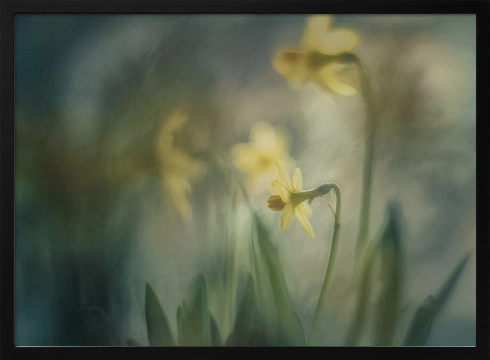 In the morning | Poster