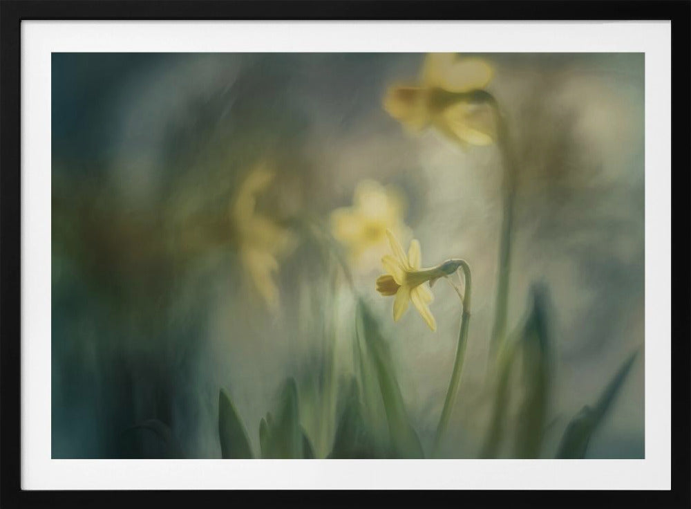 In the morning | Poster