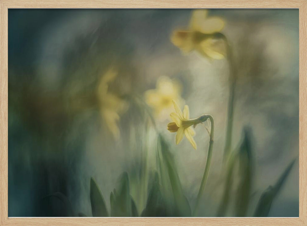 In the morning | Poster