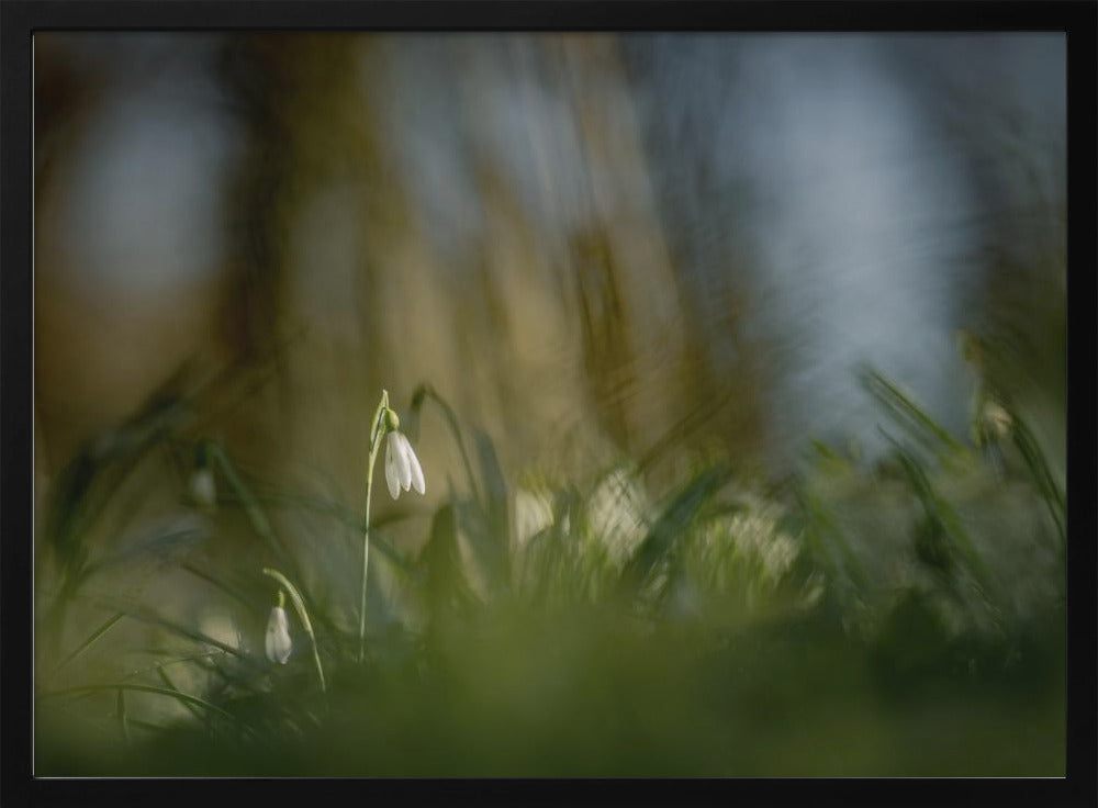 Almost alone... | Poster