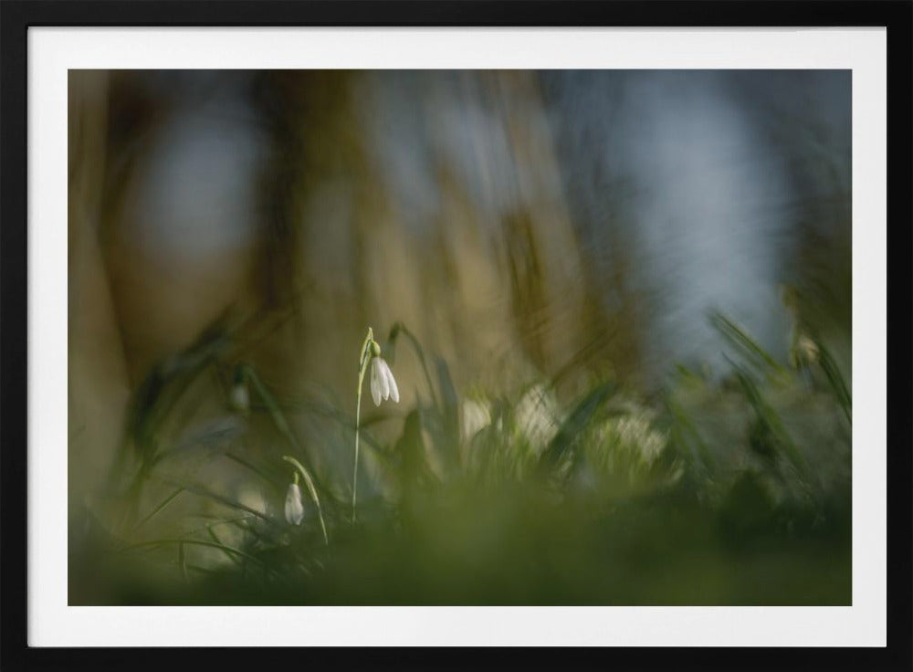 Almost alone... | Poster