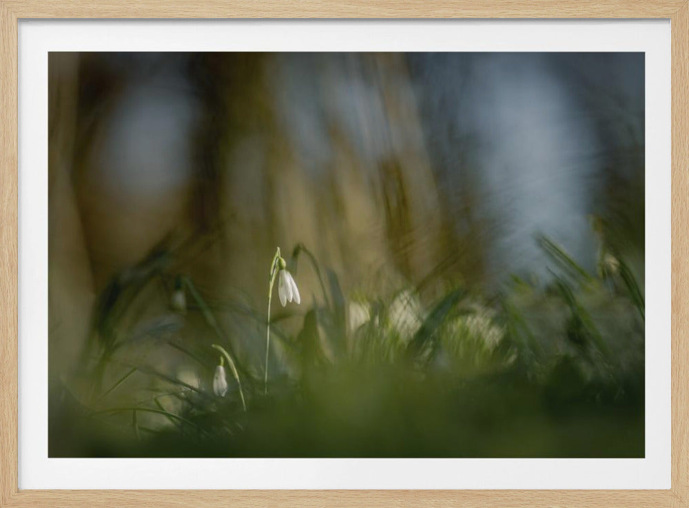 Almost alone... | Poster