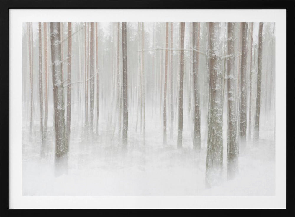Winterforest in Sweden | Poster