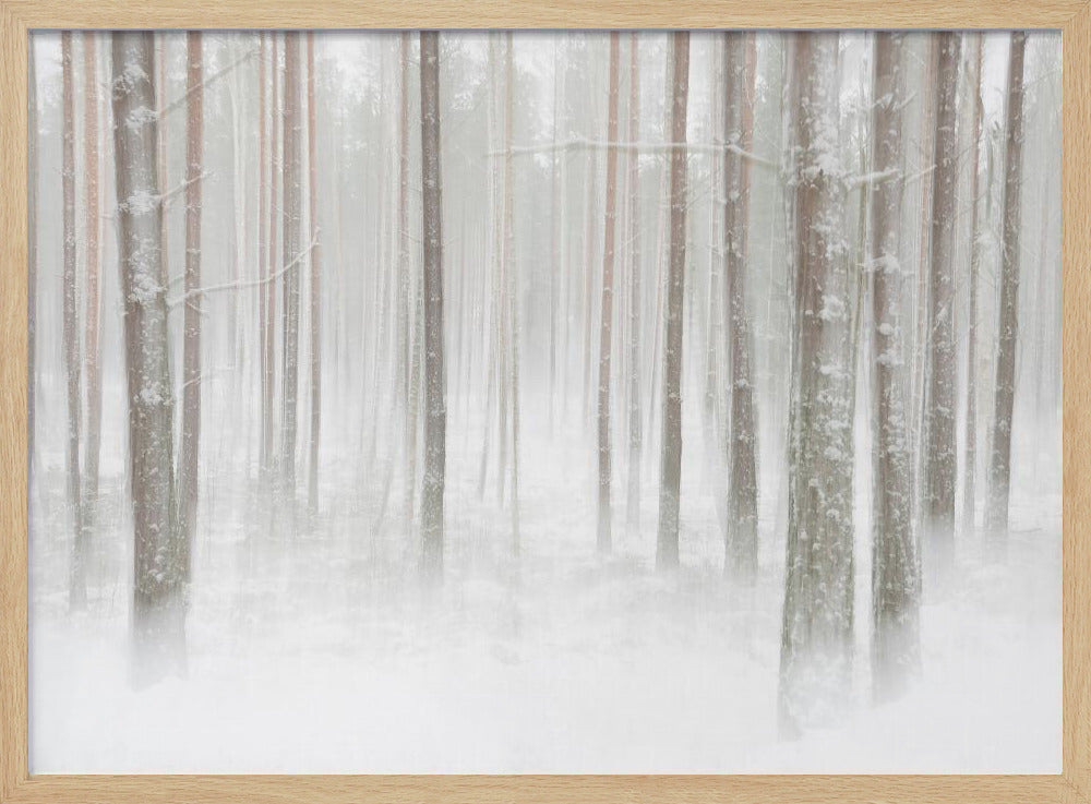 Winterforest in Sweden | Poster