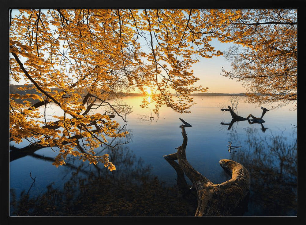 Autumn Morning | Poster