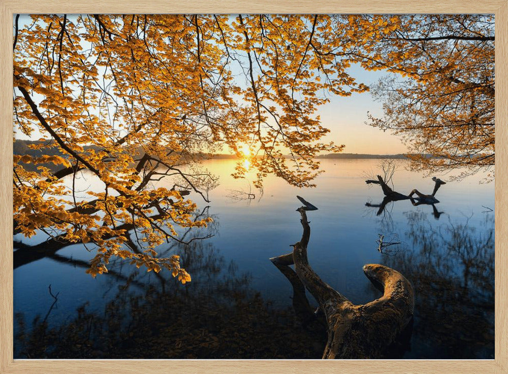 Autumn Morning | Poster