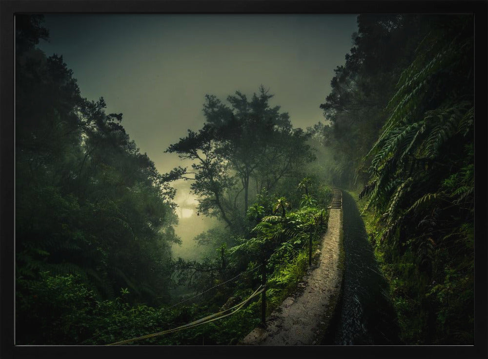 Levada Walk | Poster