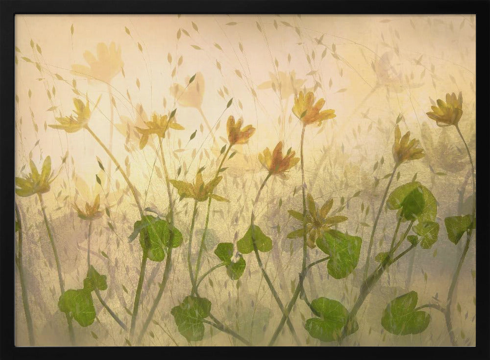 Sunny flowers | Poster