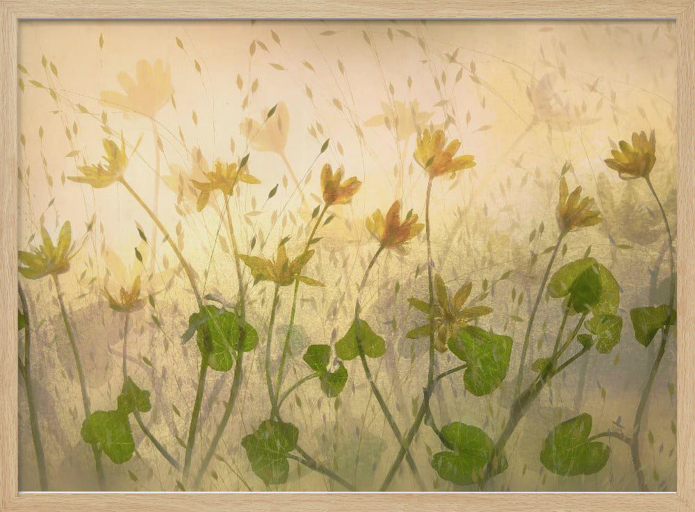 Sunny flowers | Poster