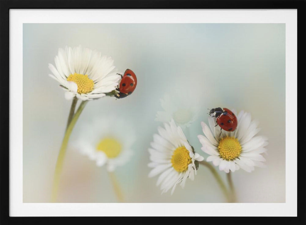 Springtime.... | Poster