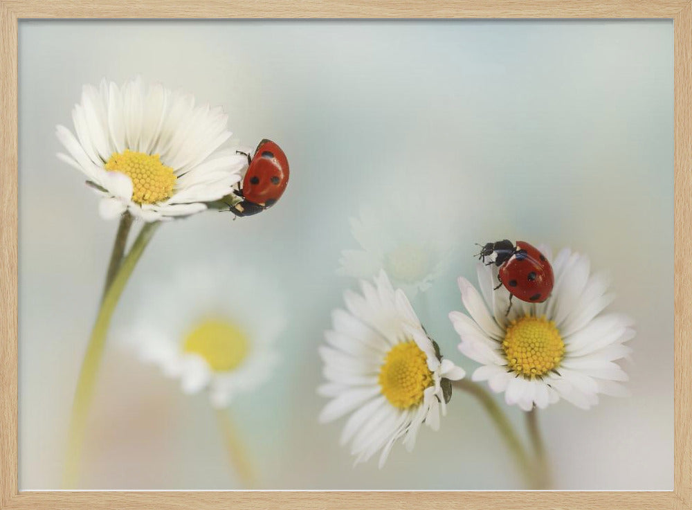 Springtime.... | Poster