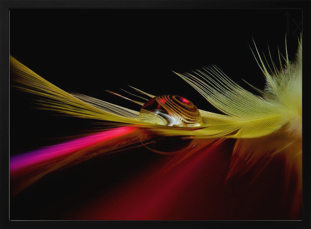 Colors in the drop | Poster