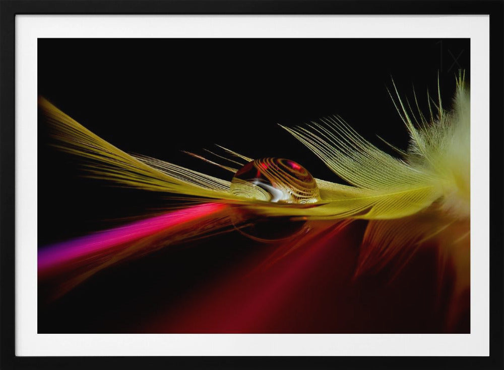 Colors in the drop | Poster