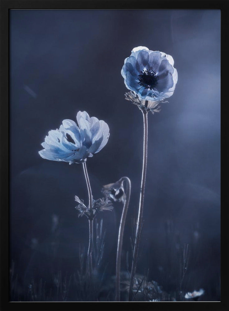 Meanwhile, oustide walls | Poster