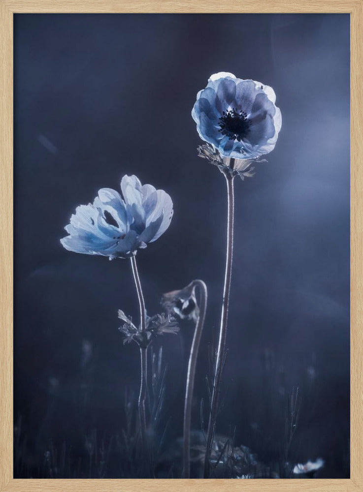 Meanwhile, oustide walls | Poster