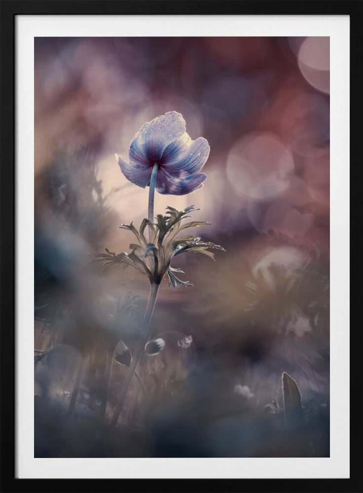 A brighter future | Poster