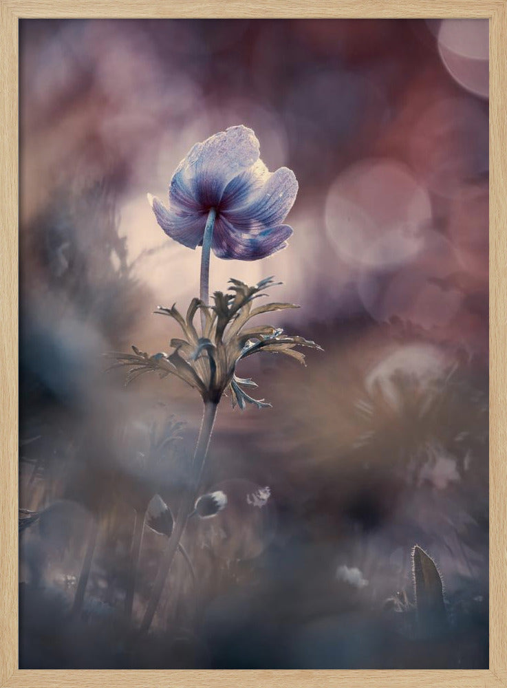 A brighter future | Poster