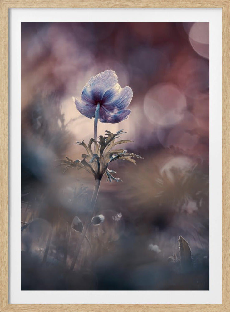 A brighter future | Poster