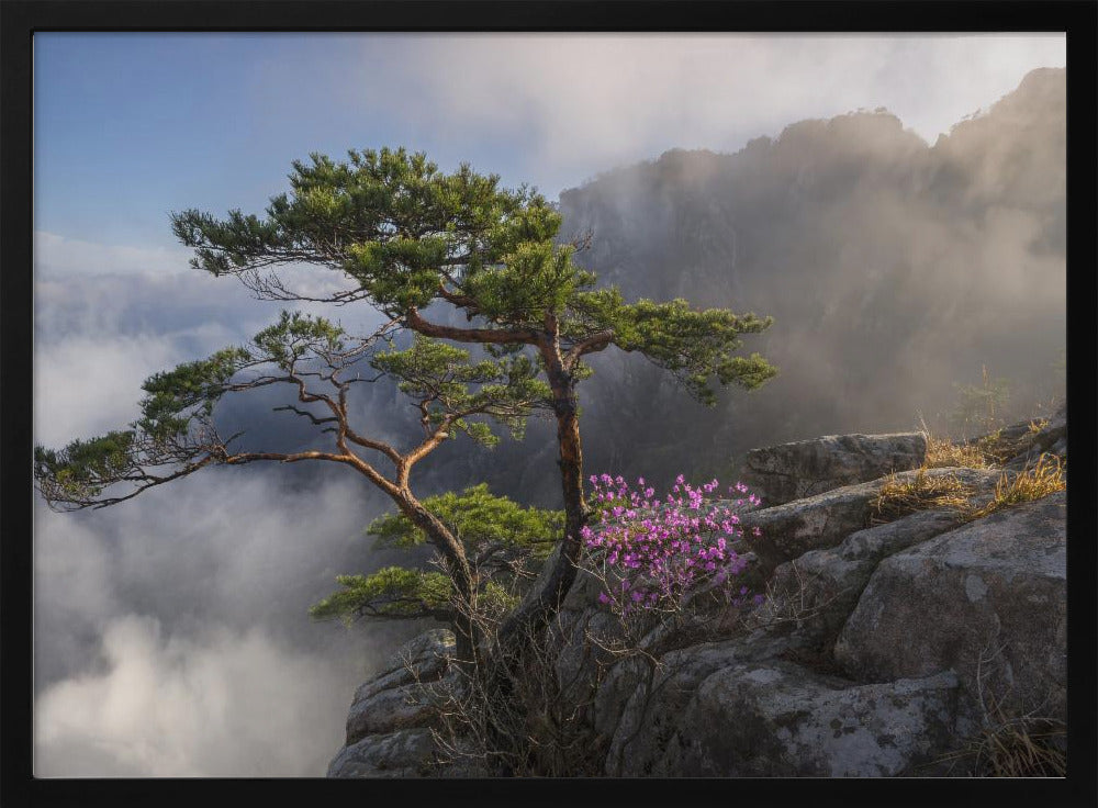 Dream dancer | Poster