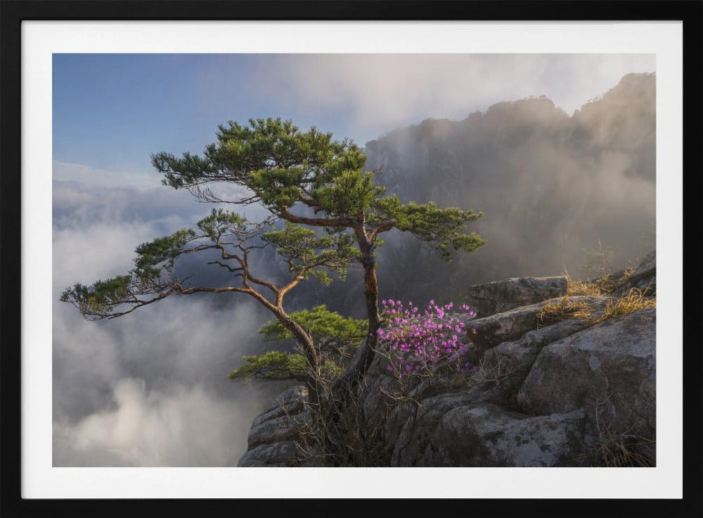 Dream dancer | Poster