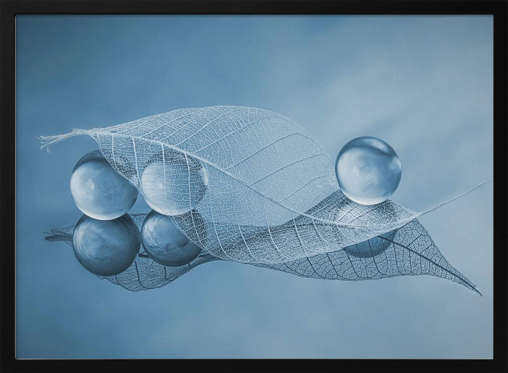 Dry leaf and Bubbles | Poster