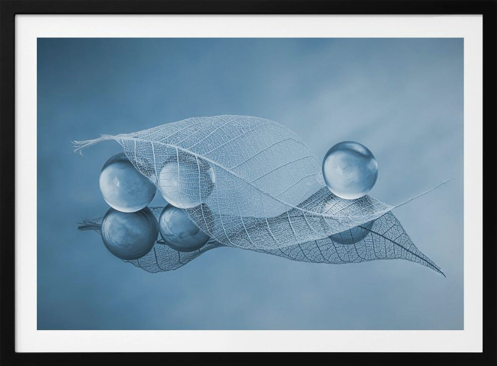 Dry leaf and Bubbles | Poster