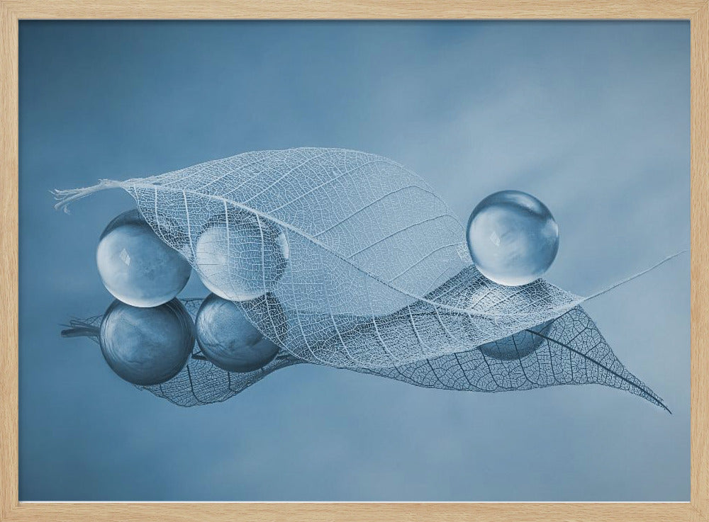 Dry leaf and Bubbles | Poster