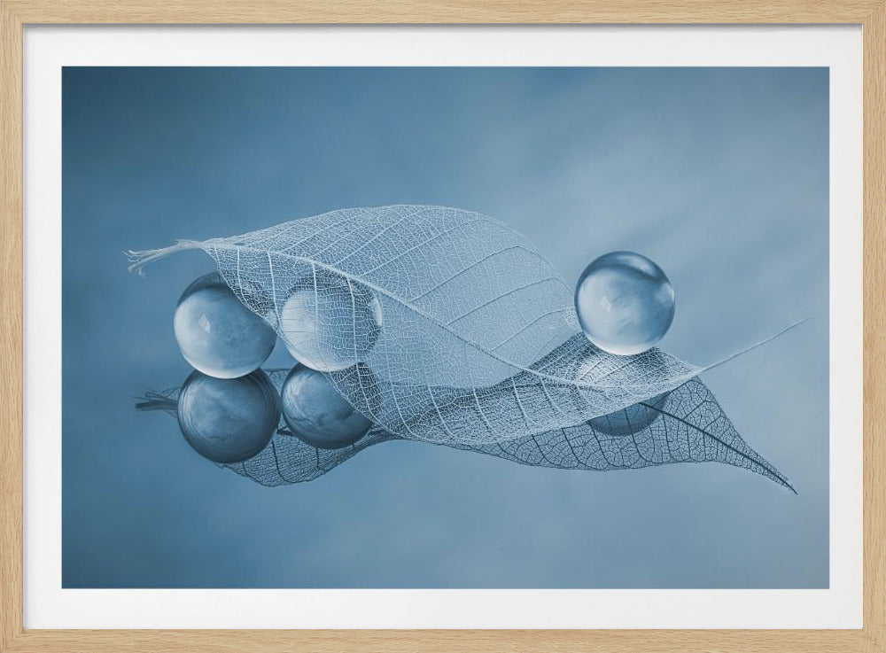Dry leaf and Bubbles | Poster