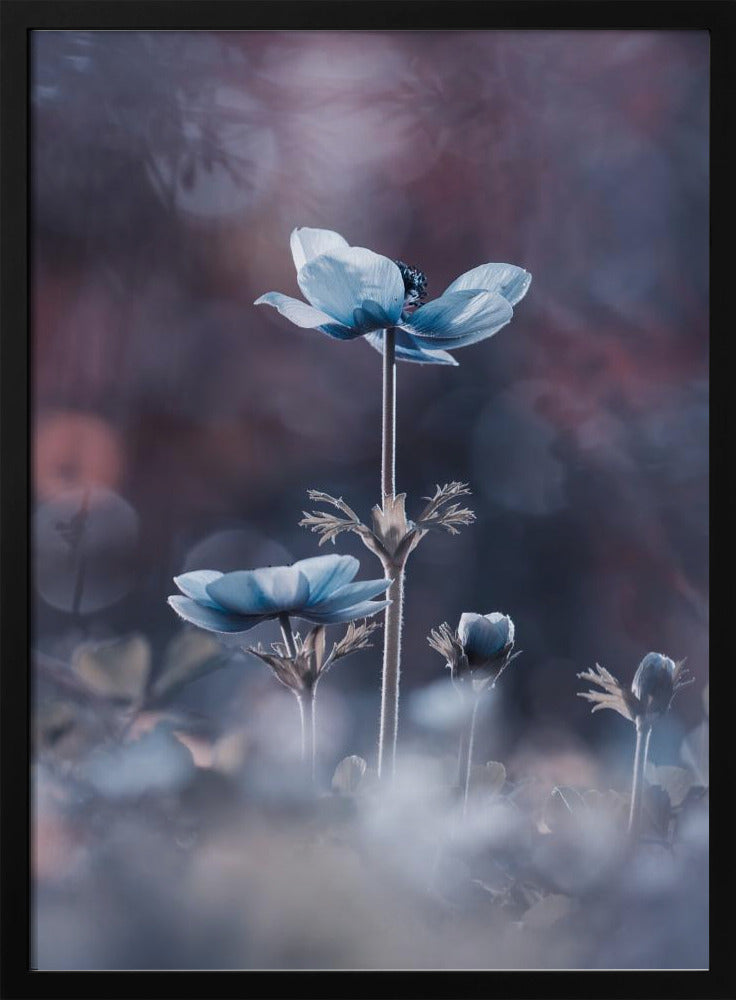 The beginning of a new era | Poster